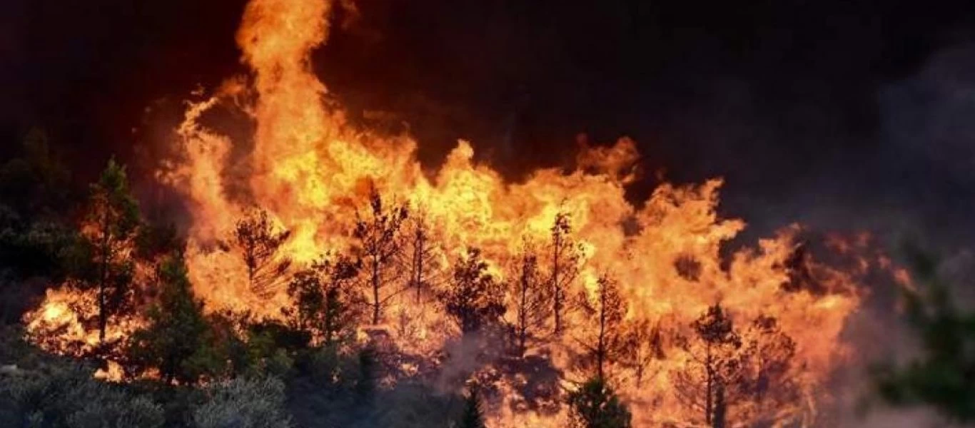 Πυρκαγιά ξέσπασε στη κοινότητα Βαρικού στη Φλώρινα